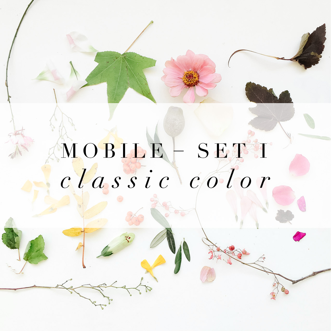 mobile set I - classic color
